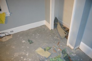 Flooring Before