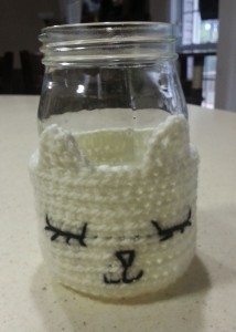 Cat Coozie on Mason Jar